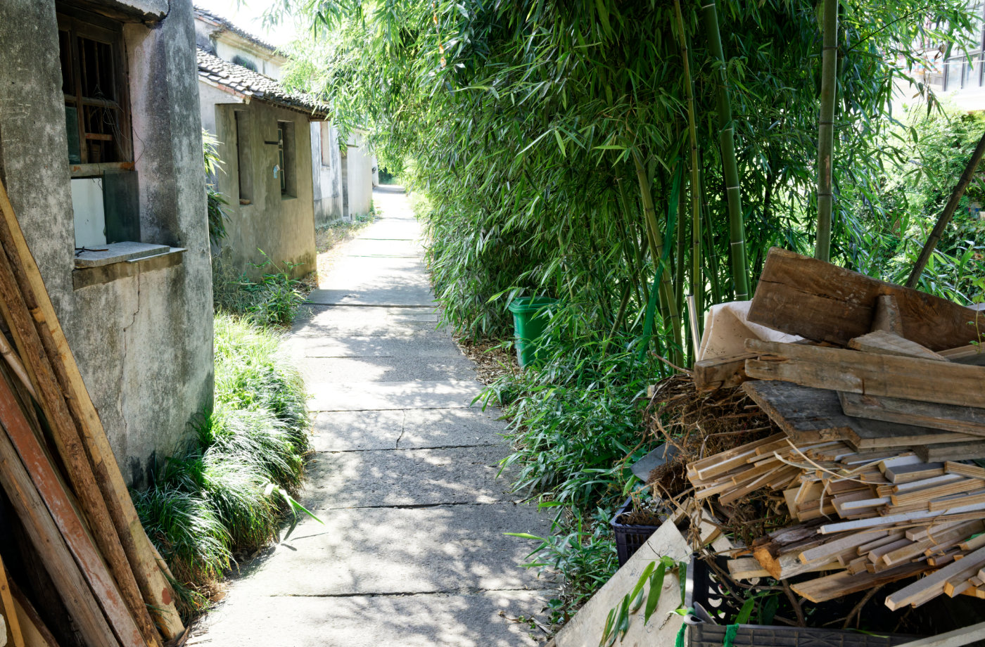 竹林旁的小路、旧屋和堆放的木料,是古镇整理过的街面之外更日常的一角。